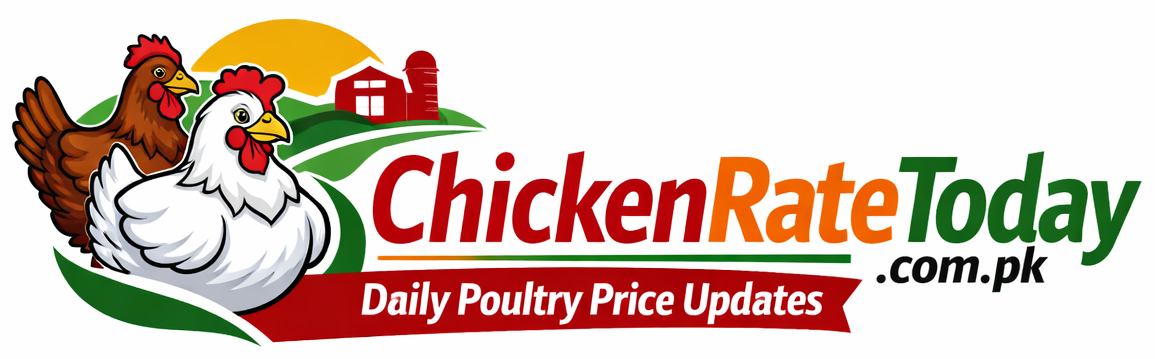 chicken rate today